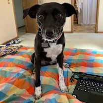 Thumbnail photo of Rowena #2