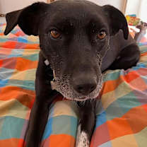 Thumbnail photo of Rowena #3