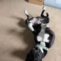 Thumbnail photo of Rowena #4