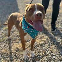 Thumbnail photo of OTIS #4