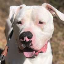 Thumbnail photo of Maverick #3