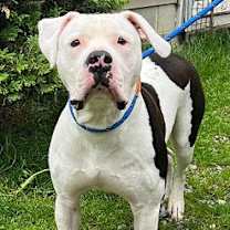 Thumbnail photo of Maverick #4