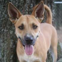 Thumbnail photo of Chex 25 #1