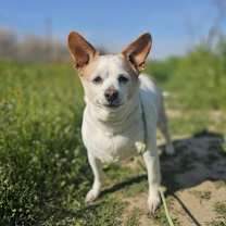 Thumbnail photo of Billie #2