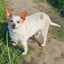 Thumbnail photo of Billie #3