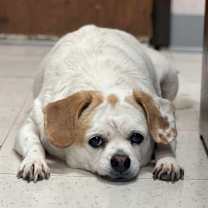 Thumbnail photo of Marge #3