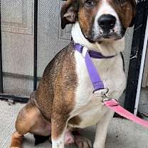 Thumbnail photo of Raider #3