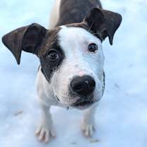 Thumbnail photo of Candied Yams #3