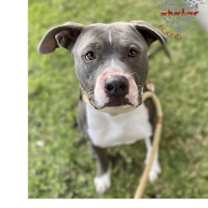 Thumbnail photo of Jamie #2