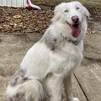 Thumbnail photo of Titan #1