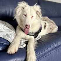 Thumbnail photo of Titan #3