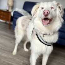 Thumbnail photo of Titan #4