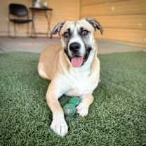 Thumbnail photo of Redburn #2