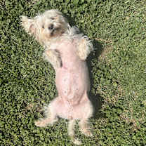 Thumbnail photo of Rubie #2