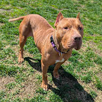 Thumbnail photo of Jerri #2