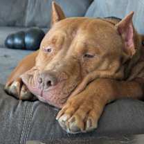 Thumbnail photo of Jerri #3