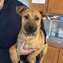 Thumbnail photo of Brooke KA #2