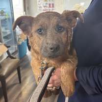 Thumbnail photo of Donna KA #2