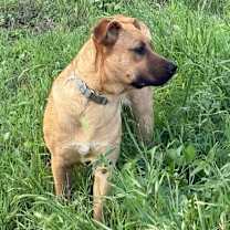 Thumbnail photo of Brooke KA #3