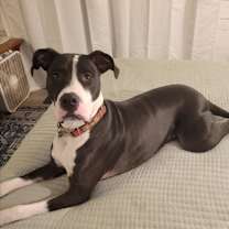 Thumbnail photo of Fred #1