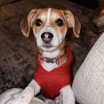 Thumbnail photo of Venus #1