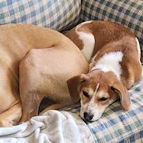 Thumbnail photo of Venus #2