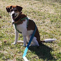 Thumbnail photo of Venus #3