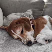 Thumbnail photo of Venus #4