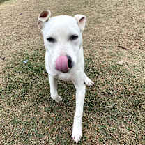 Thumbnail photo of Loki JuM #3