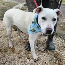 Thumbnail photo of Loki JuM #4