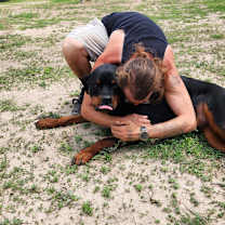 Thumbnail photo of Forte JuM #3