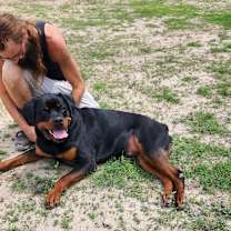 Thumbnail photo of Forte JuM #4