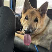 Thumbnail photo of JACKSON #1