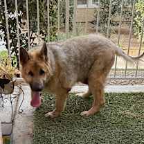 Thumbnail photo of JACKSON #3