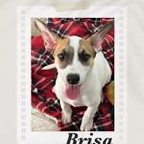 Thumbnail photo of Brisa #3