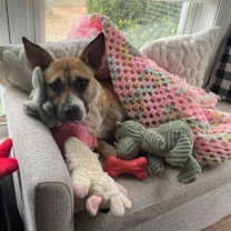 Thumbnail photo of Beatrice (Tri-Pod) #2