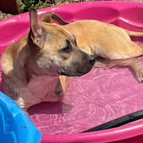 Thumbnail photo of Beatrice (Tri-Pod) #3