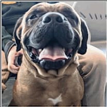 Thumbnail photo of Gus #2