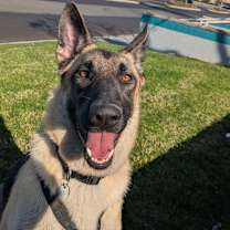 Thumbnail photo of Elle #3