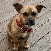 Thumbnail photo of Marky Mark #3