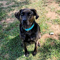 Thumbnail photo of Misha #1