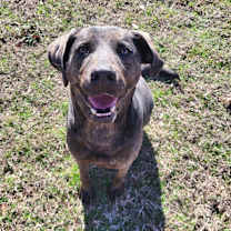 Thumbnail photo of Misha #2