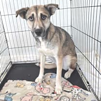 Thumbnail photo of Sasha JuM #2