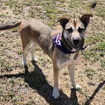 Thumbnail photo of Sasha JuM #3