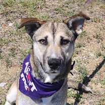 Thumbnail photo of Sasha JuM #4