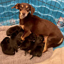 Thumbnail photo of Miss Red in Texarkana TX #3