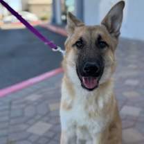 Thumbnail photo of Max #2