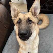 Thumbnail photo of Max #4