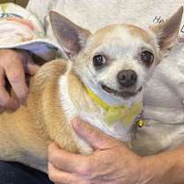 Thumbnail photo of Baby #2