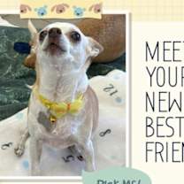 Thumbnail photo of Baby #3